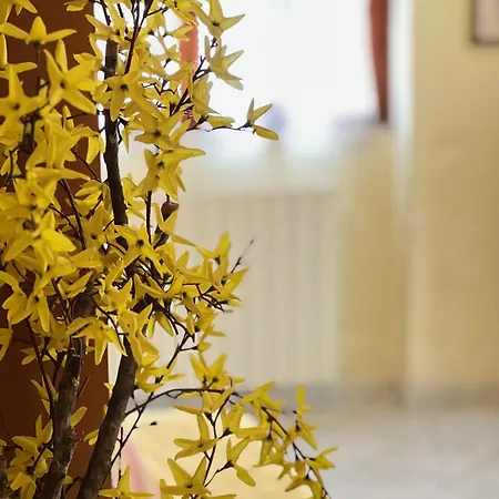 Villa Rocca Appartamento 5 *